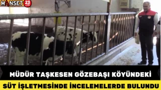 MÜDÜR TAŞKESEN GÖZEBAŞI KÖYÜNDEKİ SÜT İŞLETMESİNDE İNCELEMELERDE BULUNDU