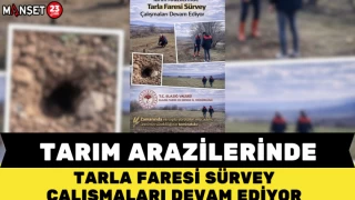 TARIM ARAZİLERİNDE TARLA FARESİ SÜRVEY ÇALIŞMALARI DEVAM EDİYOR