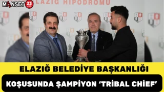 Elazığ Belediye Başkanlığı Koşusunda Şampiyon 'Tribal Chief'