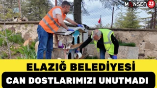 ELAZIĞ BELEDİYESİ CAN DOSTLARIMIZI UNUTMADI