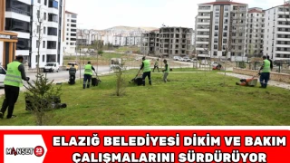 Elazığ Belediyesi, Dikim ve Bakım Çalışmalarını Sürdürüyor