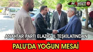 Anahtar Parti İl Teşkilatından Palu’da Yoğun Mesai