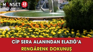 Cip Sera Alanından Elazığ’a Rengârenk Dokunuş
