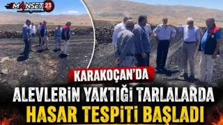Karakoçan’da Alevlerin Yaktığı Tarlalarda Hasar Tespiti Başladı
