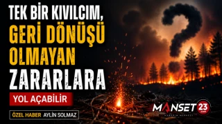 Tek Bir Kıvılcım, Geri Dönüşü Olmayan Zararlara Yol Açabilir