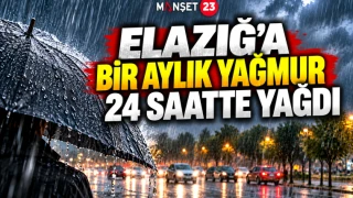 ELAZIĞ'A BİR AYLIK YAĞMUR 24 SAATTE YAĞDI