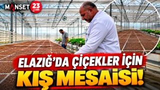 ELAZIĞ’DA ÇİÇEKLER İÇİN KIŞ MESAİSİ!