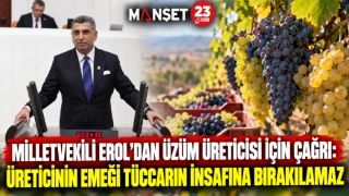 MİLLETVEKİLİ EROL’DAN ÜZÜM ÜRETİCİSİ İÇİN ÇAĞRI: ÜRETİCİNİN EMEĞİ TÜCCARIN İNSAFINA BIRAKILAMAZ