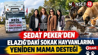 Sedat Peker’den Elazığ’daki Sokak Hayvanlarına Yeniden Mama Desteği