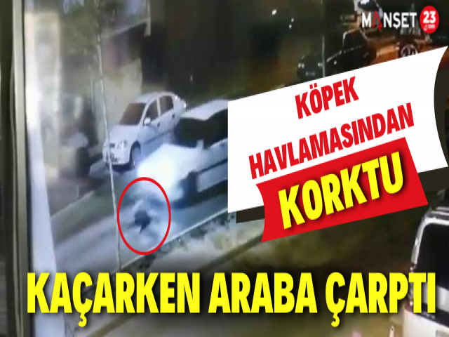 Köpek havlamasından korktu, kaçarken araba çarptı